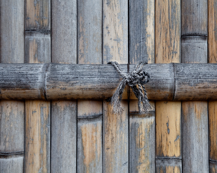 Nijo-jo Fence 11-3965.jpg